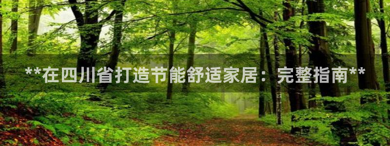 e尊国际是个黑网：**在四川省打造节能舒适家居：完整指南**