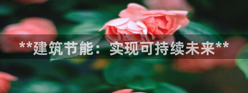 e尊国际地址：**建筑节能：实现可持续未来**