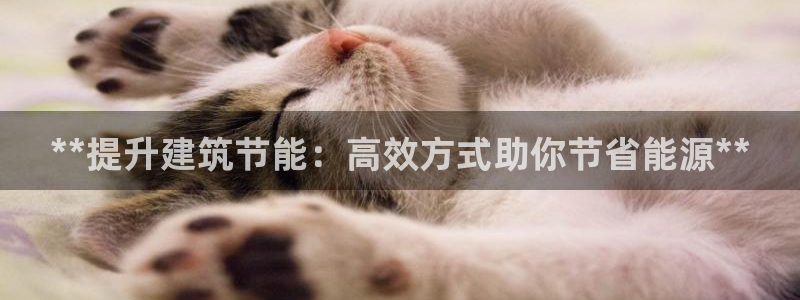e尊国际客服：**提升建筑节能：高效方式助你节省能源**