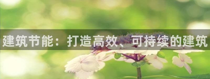 e尊国际客服：建筑节能：打造高效、可持续的建筑