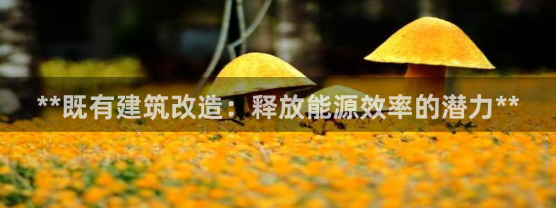e尊国际平台：**既有建筑改造：释放能源效率的潜力**