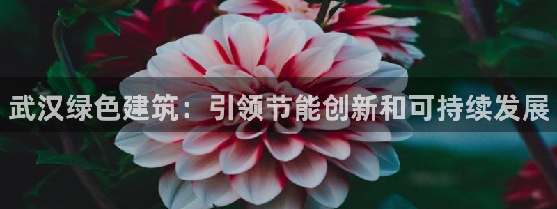 e尊电竞：武汉绿色建筑：引领节能创新和可持续发展