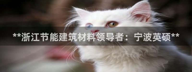 e尊平台：**浙江节能建筑材料领导者：宁波英硕**