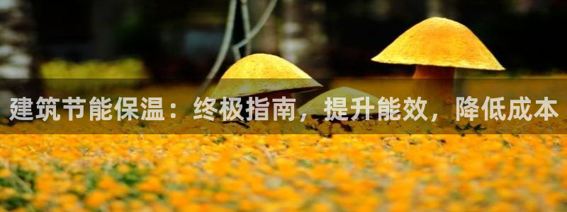 e尊国际客户端下载：建筑节能保温：终极指南，提升能效，降低成本