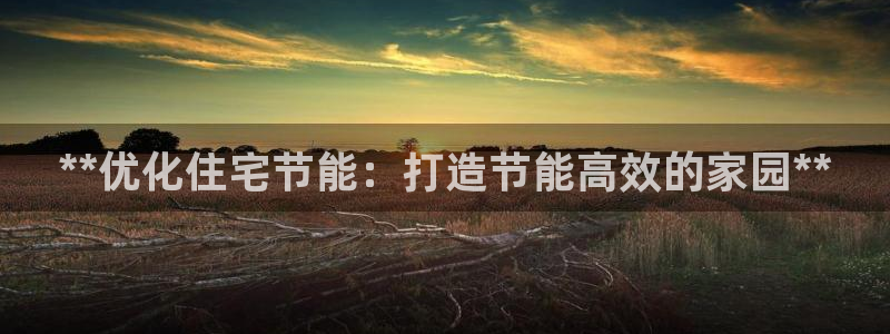 e尊国际客户端：**优化住宅节能：打造节能高效的家园**