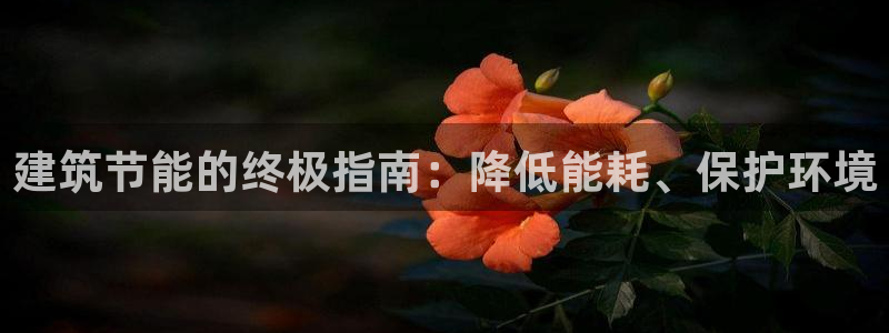 E尊国际网站：建筑节能的终极指南：降低能耗、保护环境