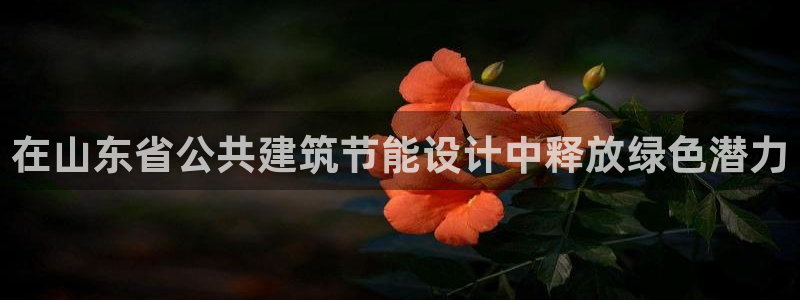 尊亿游戏国际官网：在山东省公共建筑节能设计中释放绿色潜力