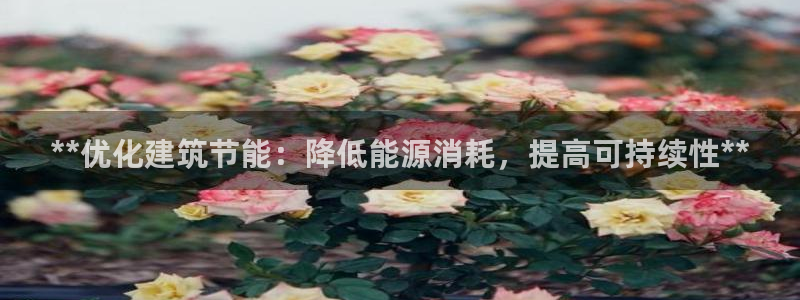 e尊平台：**优化建筑节能：降低能源消耗，提高可持续性**