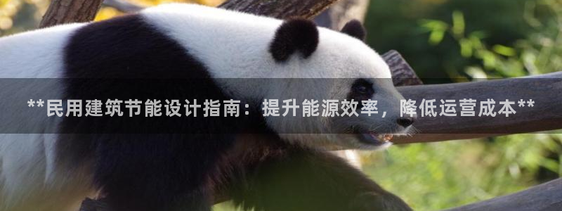 e尊国际app：**民用建筑节能设计指南：提升能源效率，降低运营成本**