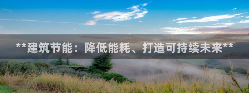 e尊国际-e尊国际官网：**建筑节能：降低能耗、打造可持续未来**
