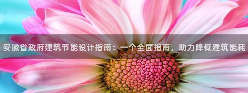 e尊国际客服：安徽省政府建筑节能设计指南：一个全面指南，助力降低建筑能耗