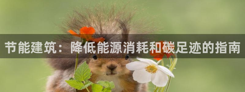 e尊国际-e尊国际官网：节能建筑：降低能源消耗和碳足迹的指南