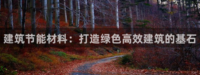 e尊国际官网：建筑节能材料：打造绿色高效建筑的基石