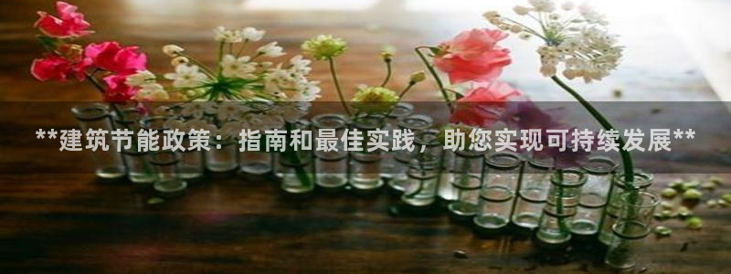 e尊国际是个黑网：**建筑节能政策：指南和最佳实践，助您实现可持续发展**