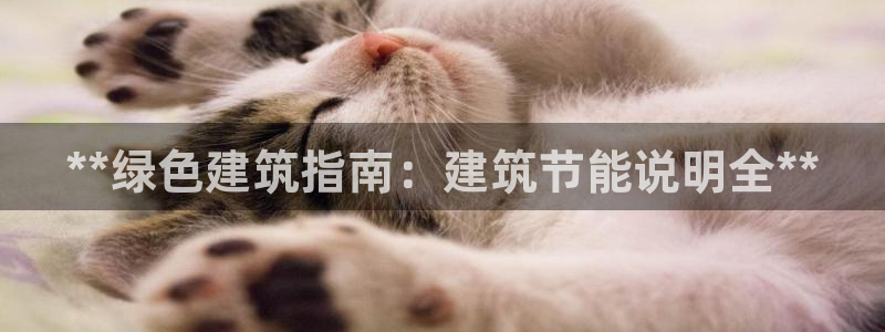 e尊国际网址：**绿色建筑指南：建筑节能说明全**