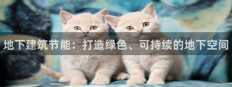 e尊国际网址：地下建筑节能：打造绿色、可持续的地下空间