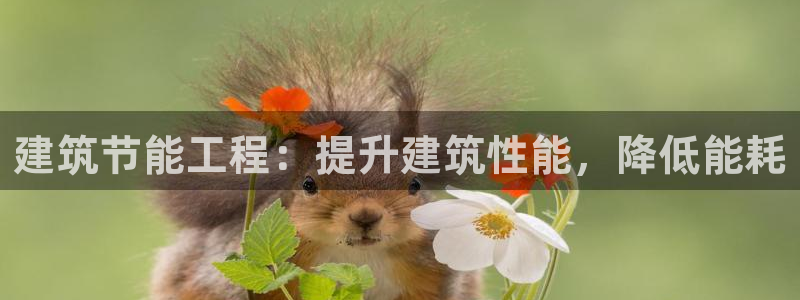 e尊国际-可可计划：建筑节能工程：提升建筑性能，降低能耗
