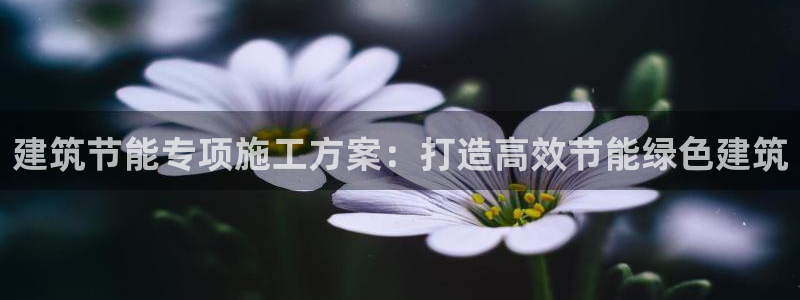 e尊国际网址：建筑节能专项施工方案：打造高效节能绿色建筑