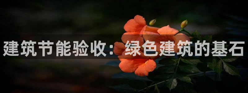 e尊国际是干什么的：建筑节能验收：绿色建筑的基石