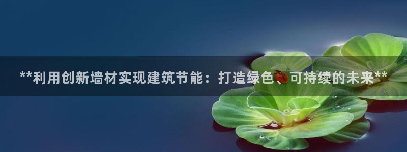 E尊国际：**利用创新墙材实现建筑节能：打造绿色、可持续的未来**