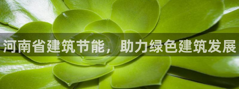 e尊国际app：河南省建筑节能，助力绿色建筑发展