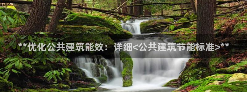 E尊国际：**优化公共建筑能效：详细<公共建筑节能标准>**
