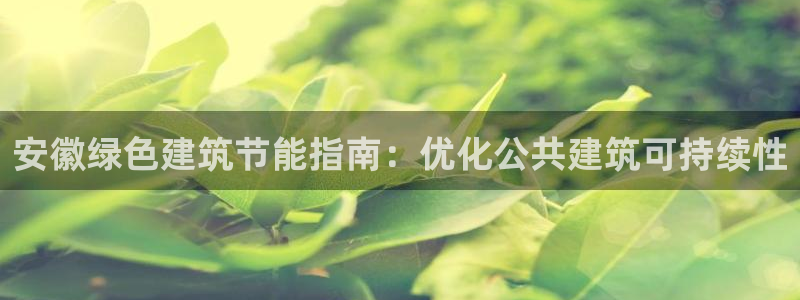 e尊国际客户端下载：安徽绿色建筑节能指南：优化公共建筑可持续性