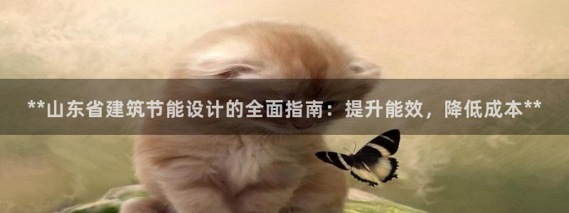 e尊国际7779：**山东省建筑节能设计的全面指南：提升能效，降低成本**