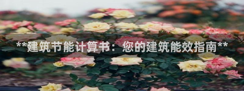 e尊体育：**建筑节能计算书：您的建筑能效指南**