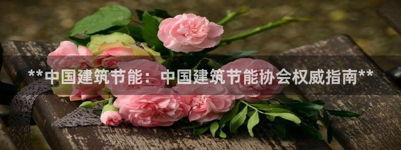 e尊国际平台：**中国建筑节能：中国建筑节能协会权威指南**