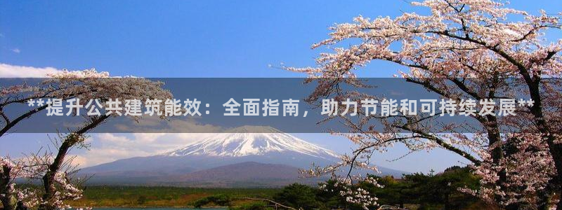 e尊国际是干什么的：**提升公共建筑能效：全面指南，助力节能和可持续发展**
