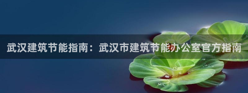 E尊国际：武汉建筑节能指南：武汉市建筑节能办公室官方指南