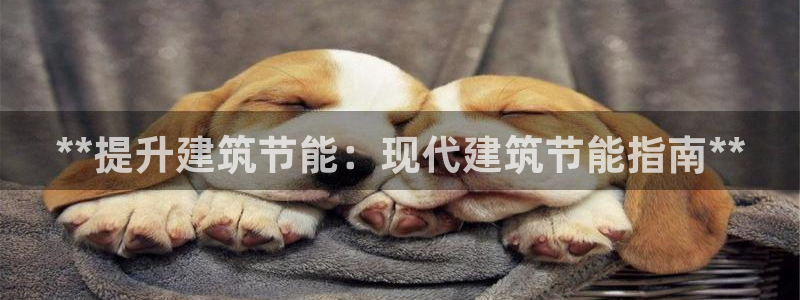 e尊国际娱乐官网地址：**提升建筑节能：现代建筑节能指南**