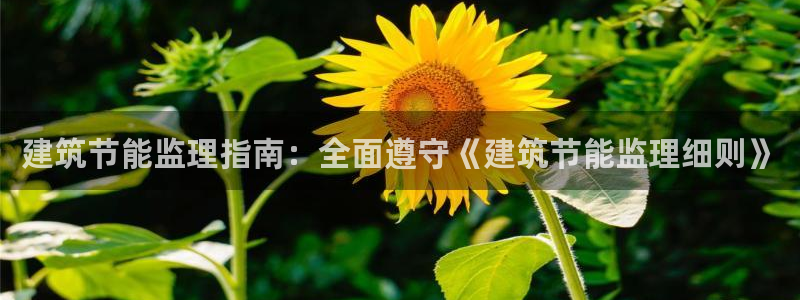 e尊国际app：建筑节能监理指南：全面遵守《建筑节能监理细则》
