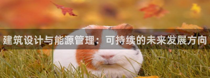e尊国际app：建筑设计与能源管理：可持续的未来发展方向