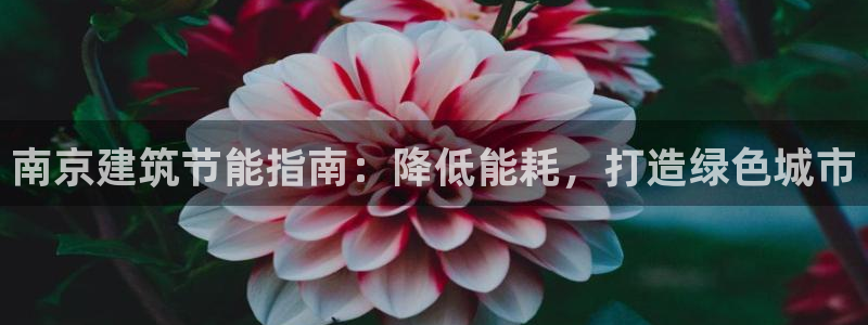 谁知道e尊国际的网址：南京建筑节能指南：降低能耗，打造绿色城市