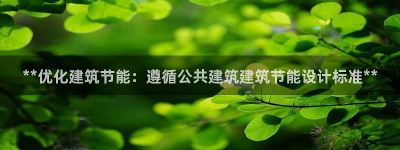 e尊国际可靠吗：**优化建筑节能：遵循公共建筑建筑节能设计标准**