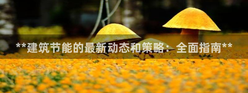 e尊国际7779：**建筑节能的最新动态和策略：全面指南**