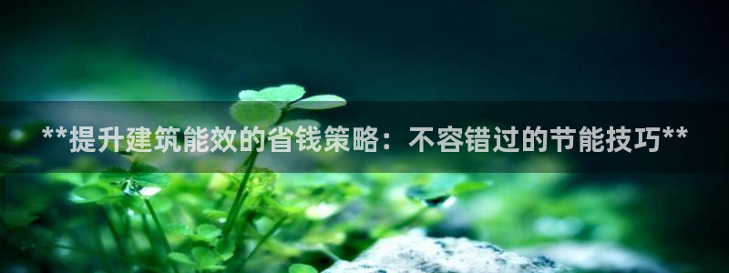 E尊国际网站：**提升建筑能效的省钱策略：不容错过的节能技巧**