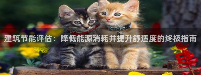 e尊国际官方网站：建筑节能评估：降低能源消耗并提升舒适度的终极指南