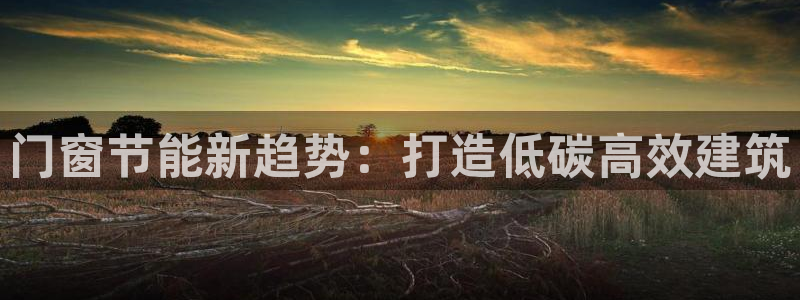 e尊国际是干什么的：门窗节能新趋势：打造低碳高效建筑