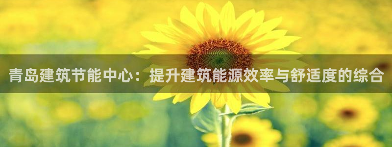 谁知道e尊国际的网址：青岛建筑节能中心：提升建筑能源效率与舒适度的综合