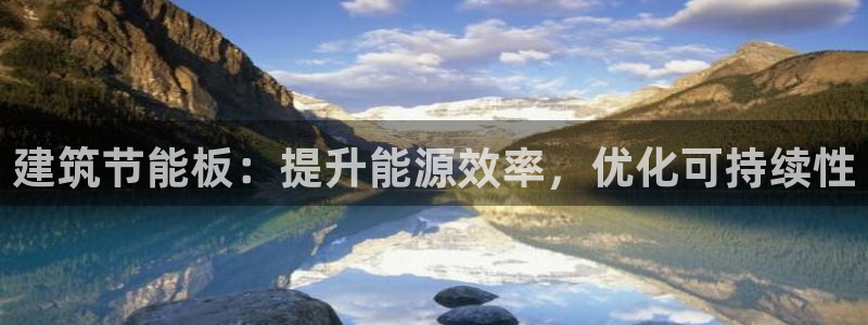 e尊国际是干什么的：建筑节能板：提升能源效率，优化可持续性