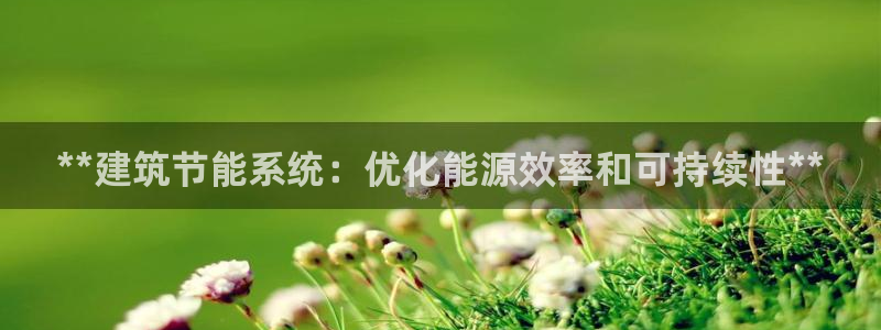 e尊国际客户端：**建筑节能系统：优化能源效率和可持续性**