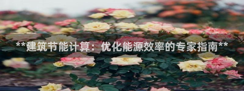 e尊国际平台：**建筑节能计算：优化能源效率的专家指南**