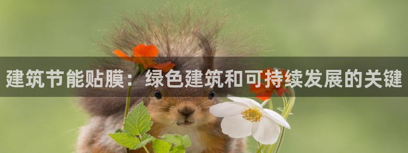 e尊平台：建筑节能贴膜：绿色建筑和可持续发展的关键