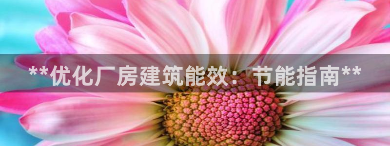 e尊国际客户端下载：**优化厂房建筑能效：节能指南**