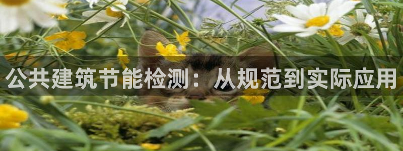 尊亿娱乐国际官网：公共建筑节能检测：从规范到实际应用