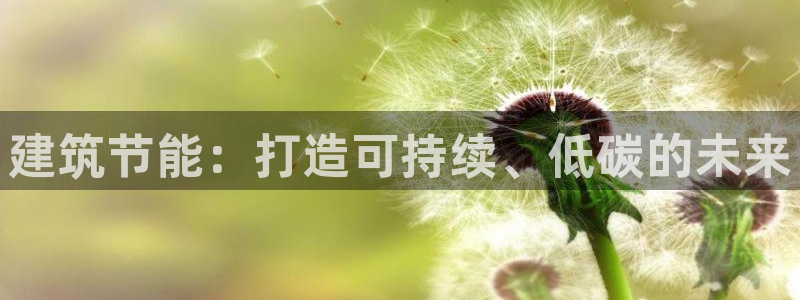 e尊国际官网：建筑节能：打造可持续、低碳的未来