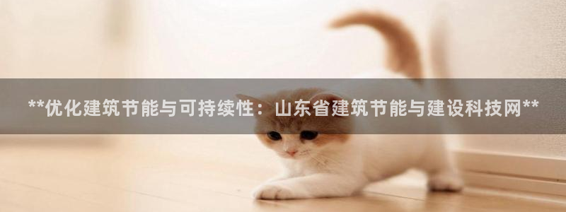 e尊国际官网：**优化建筑节能与可持续性：山东省建筑节能与建设科技网**